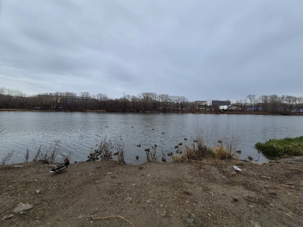 Студия в центре рядом с рекой