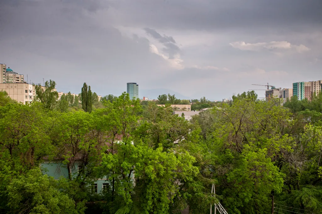 Уютная студия с видом на горы