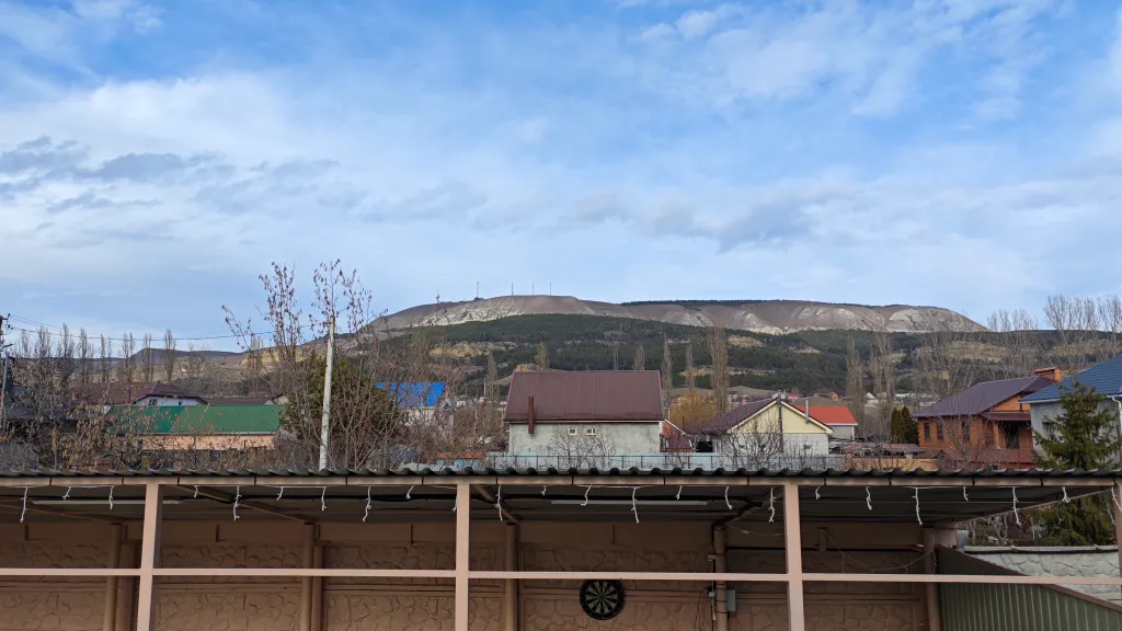 Можжевельник малый