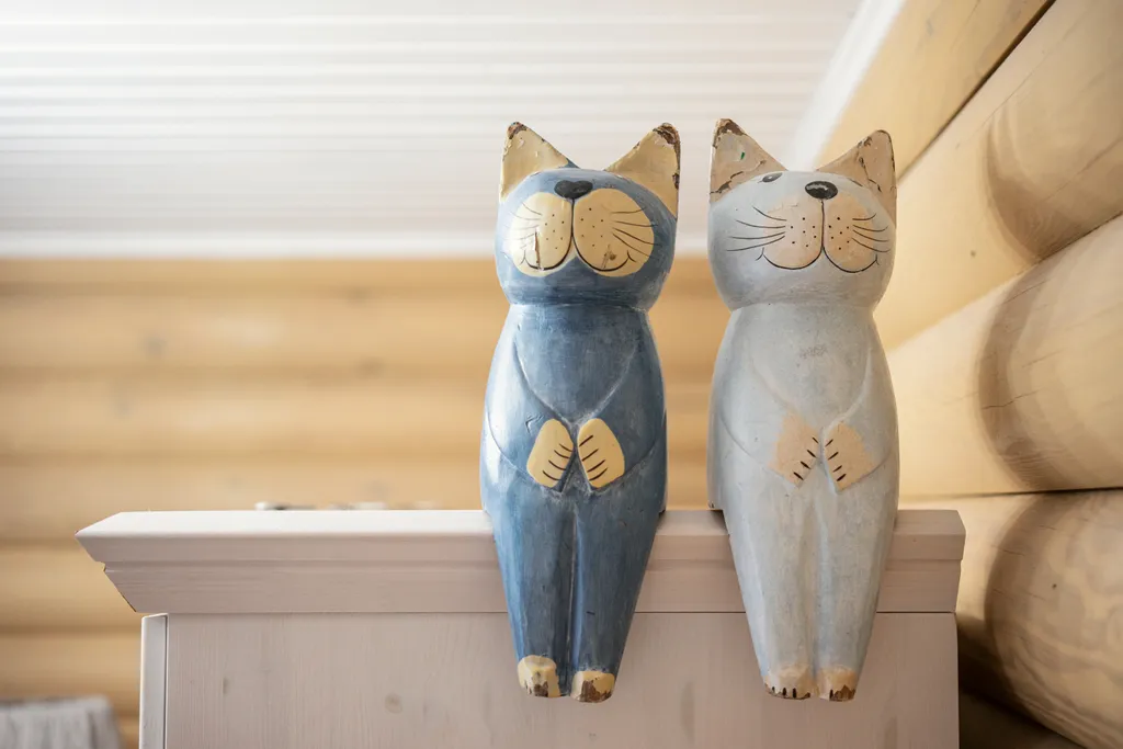 Коттедж в Выборге