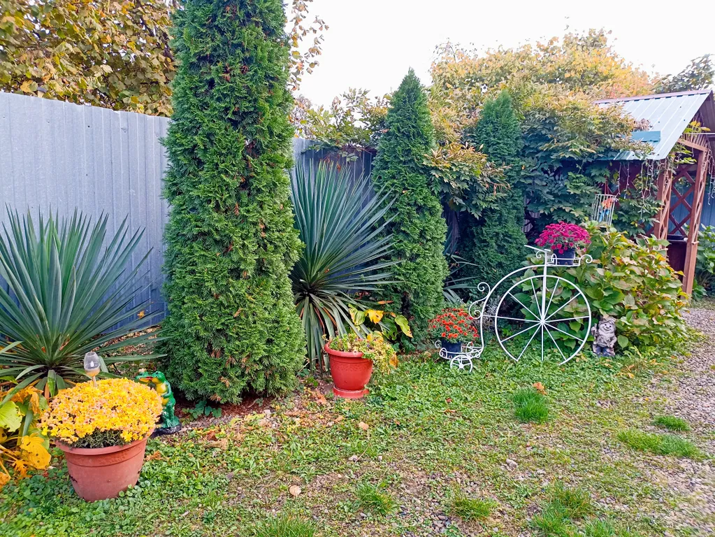 Семейный номер с кухней с выходом на террасу