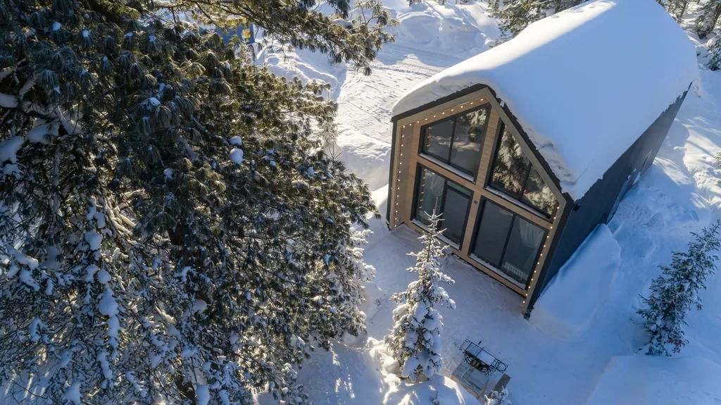 Барнхаус с панорамным видом на лес