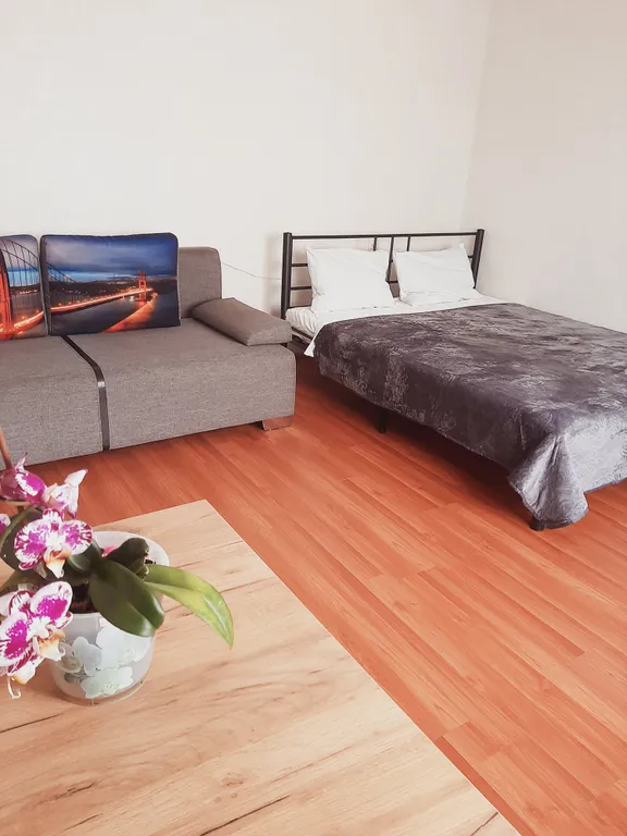 Однокомнатная квартира в самом центре с развитой инфраструктурой