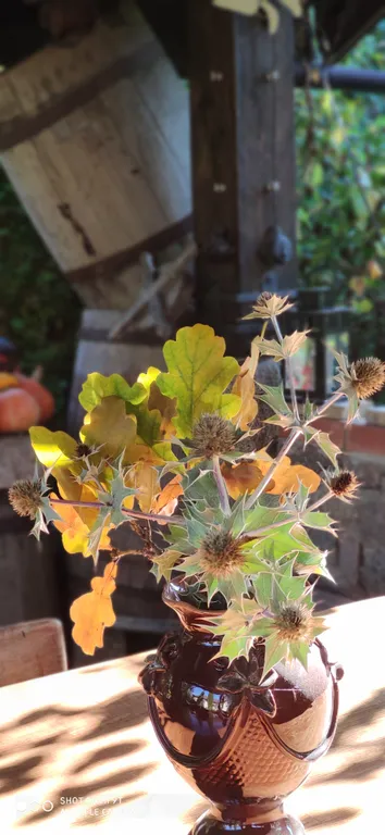 Уютная двухуровневая студия