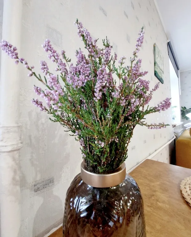 Апартаменты у библиотеки А.Аалто, Красной площади и Центрального парка