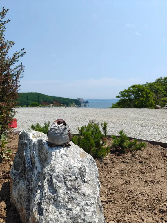 Дом с фурако 1