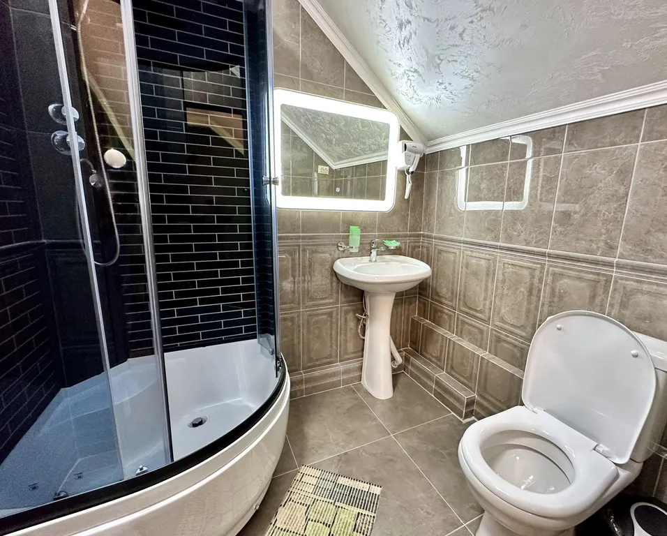 Уютный номер Делюкс на мансарде