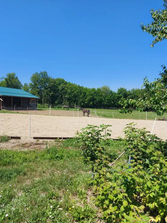 Коттедж Коттедж Оствинд — Апшеронск