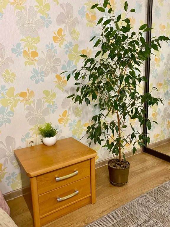 Комфортная и современная квартира в пешей доступности маутинбайк .