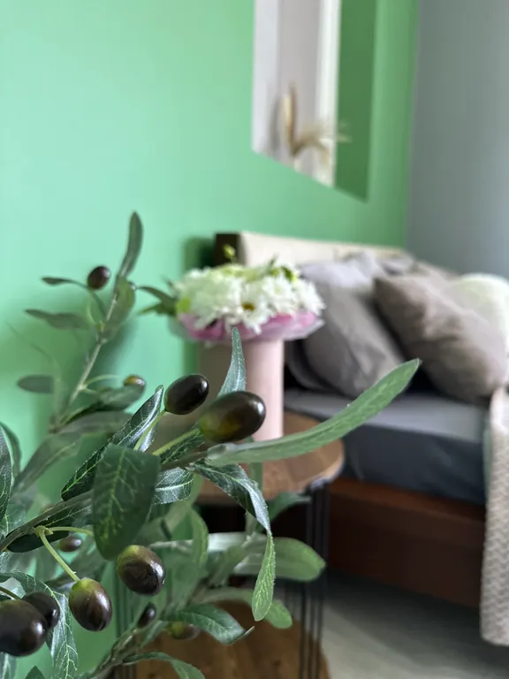 Уютный и комфортный семейный отдых на берегу моря