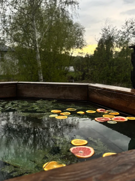 Дом у озера, Баглачевские дачи