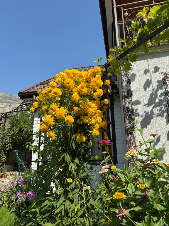 Дом в горах с кинотеатром Kurmimonte