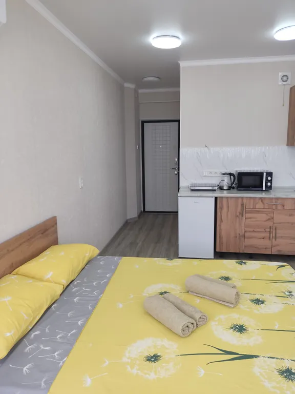 Светлая студия-1, расположенная вблизи аэропорта и ЖД вокзала