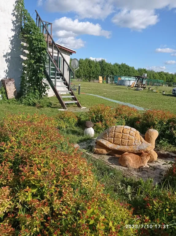 Коттедж Домик хоббита — Синковицы