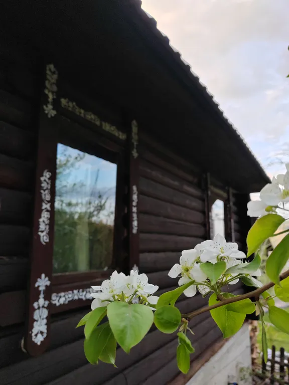 Коттедж для семейного отдыха Алтай-Горы