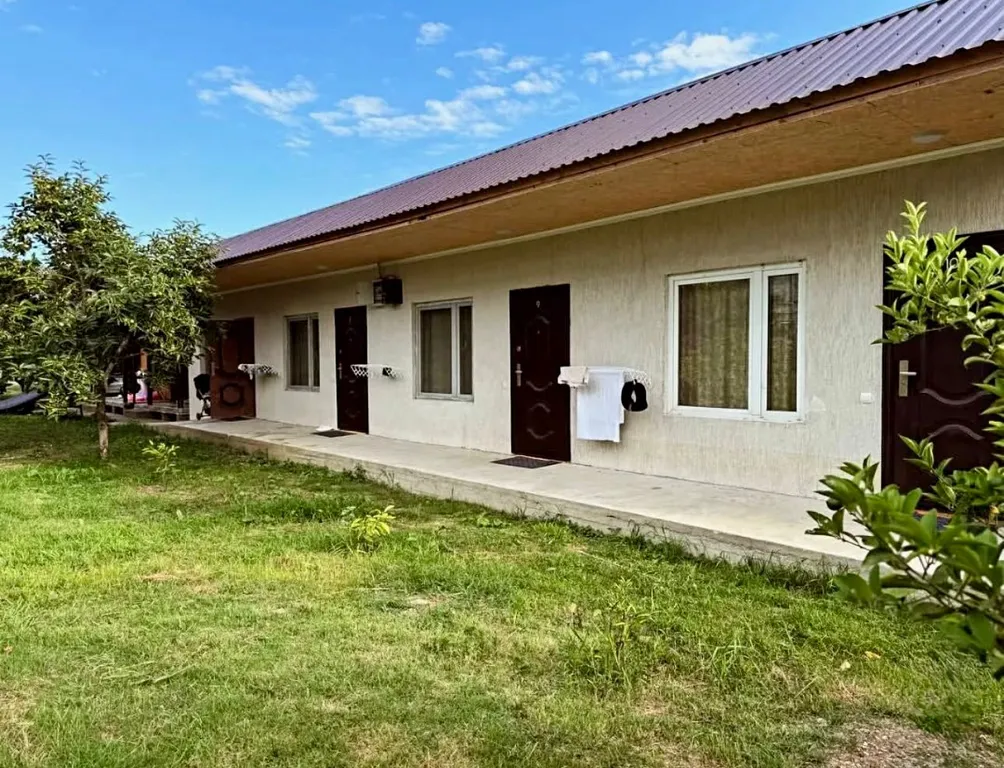 Как на даче у Чёрного моря