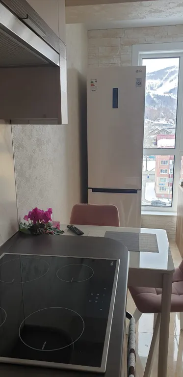 Квартира с великолепным видом на Горный Воздух