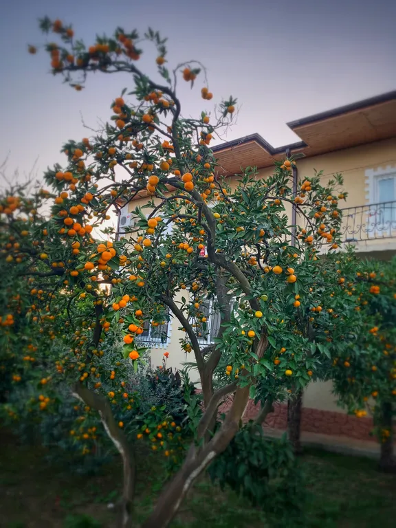 Двухместный стандарт с двуспальной кроватью без балкона на 1 этаже