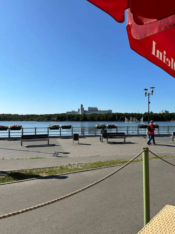 Уютная квартира с видом на парк