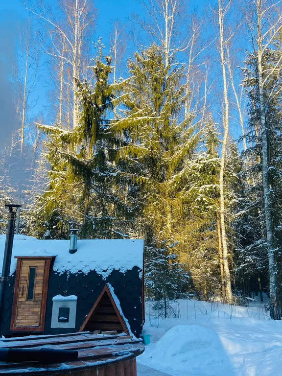 Дом A-frame с купелью, баней и бассейном в сосновом лесу