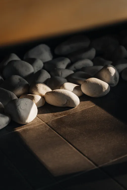 Умный дом с сауной и купелью