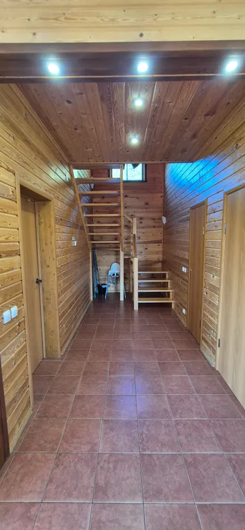 Куркиёки у леса