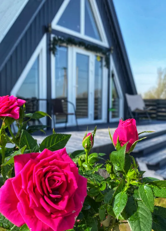 Территория отдыха Псковская жемчужина