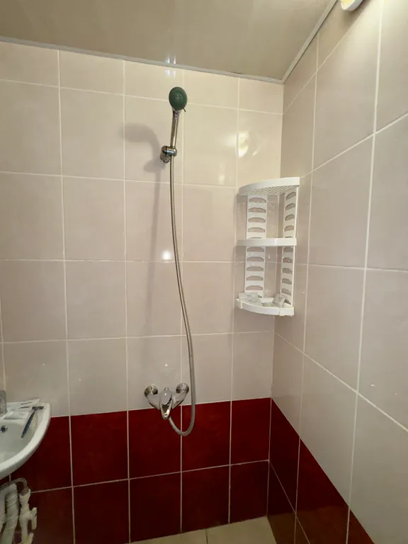 Уютный домик у моря в единственном лиановом лесу в России