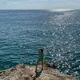 Яна