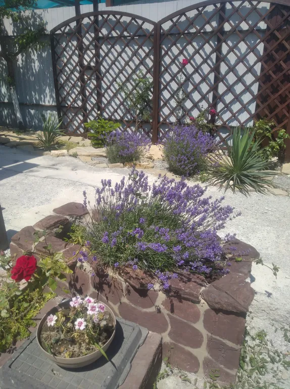 Квартира Комната в новом коттедже с террасой и отдельным двором — Геленджик