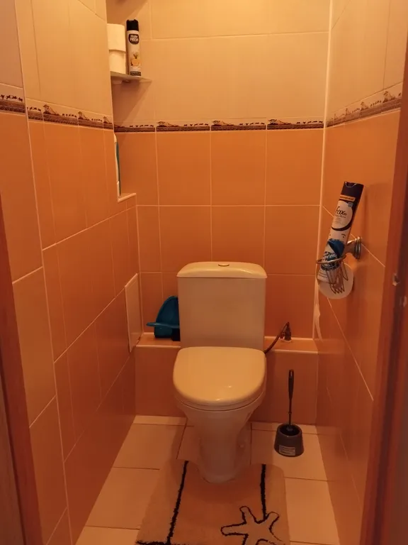 Уютная квартира с видом на реку и лес