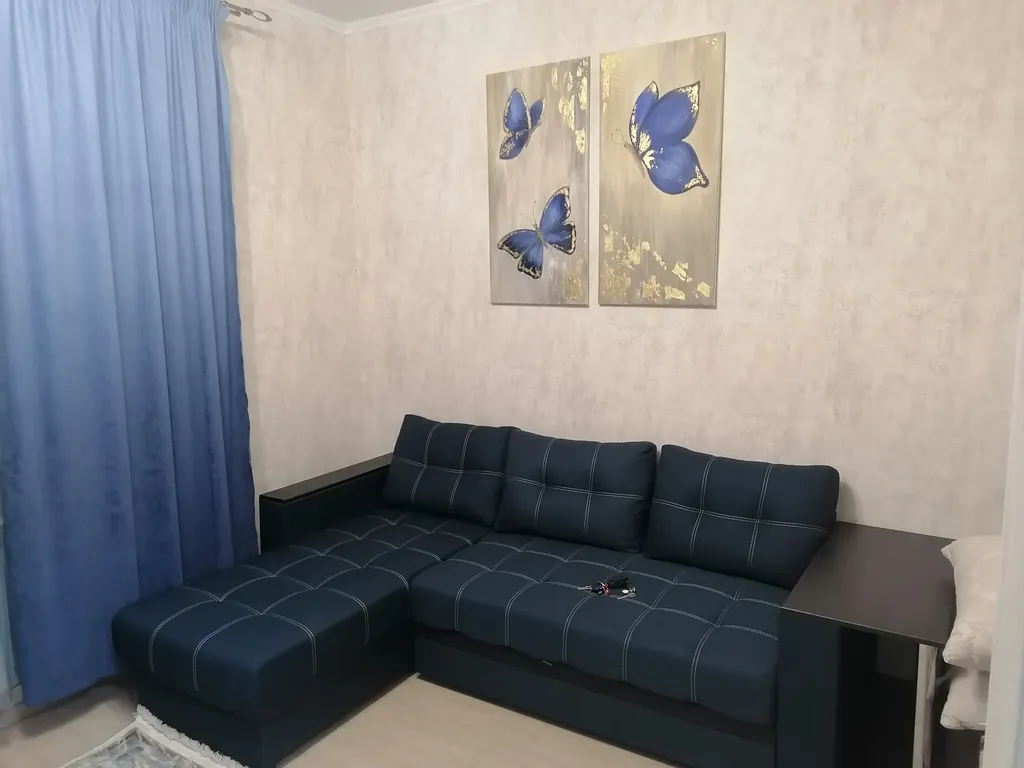 Уютная однокомнатная квартира