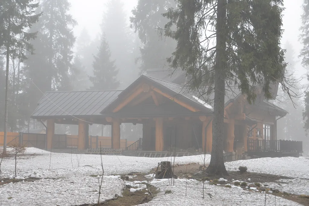 Лесное шале