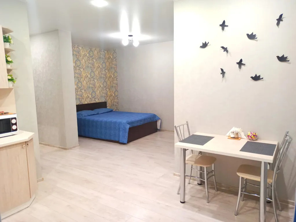 Студия с кондиционером около стадиона Мордовия арена