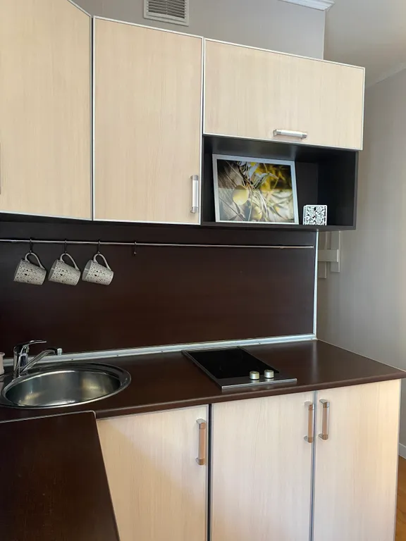 Уютная студия в центре города