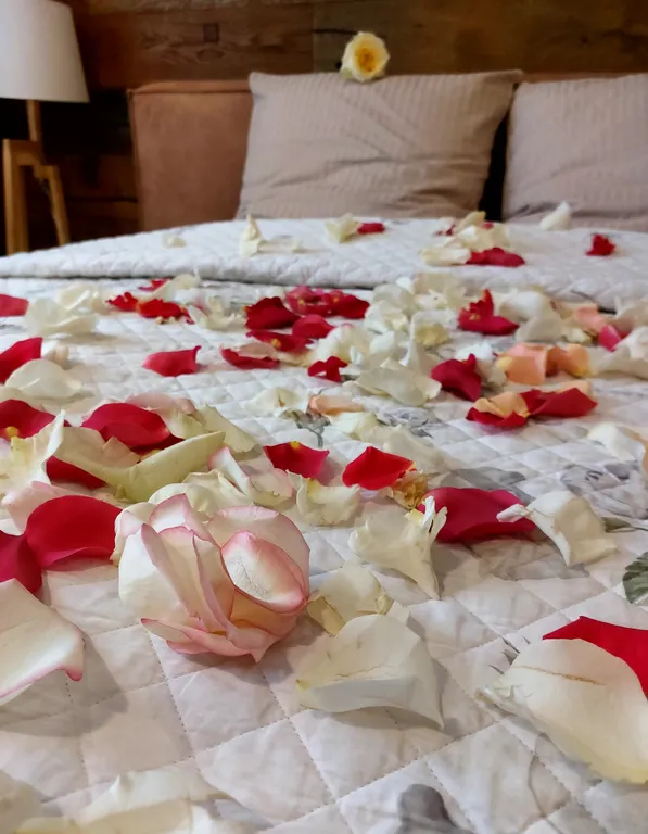 Лофт в облаках