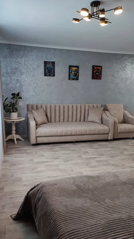 Просторная однушка в Слониме