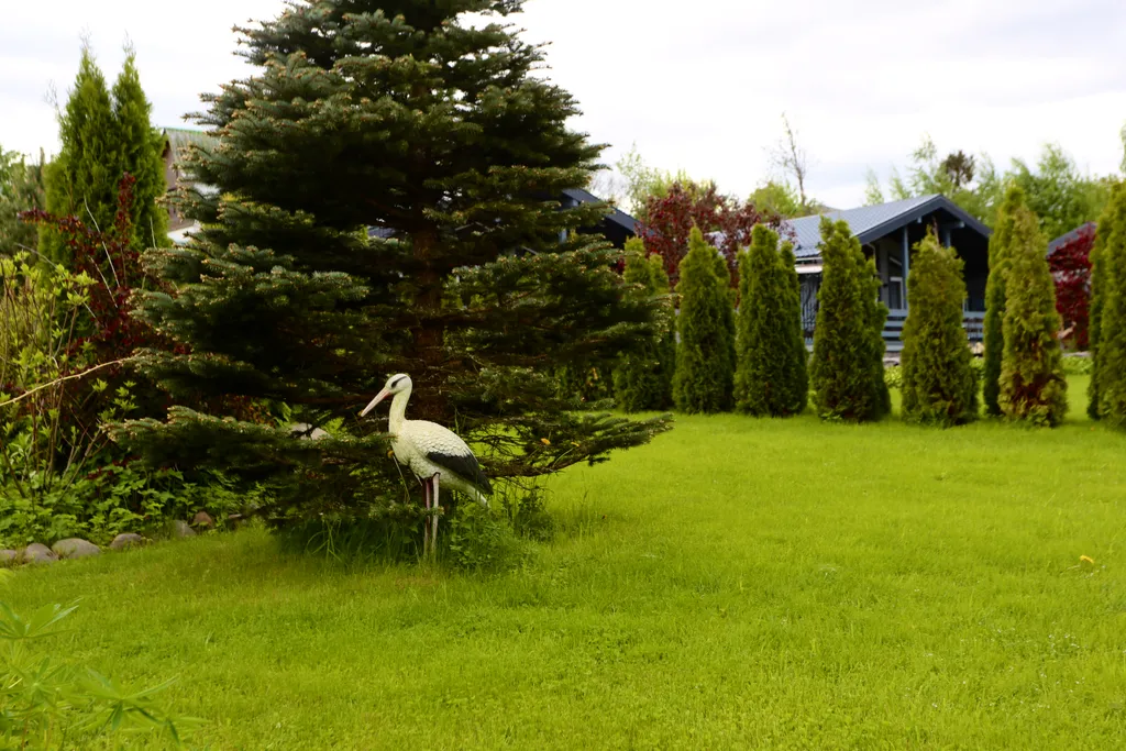 Коттедж Дом у озера — Глубокое (Каменногорское г/п)