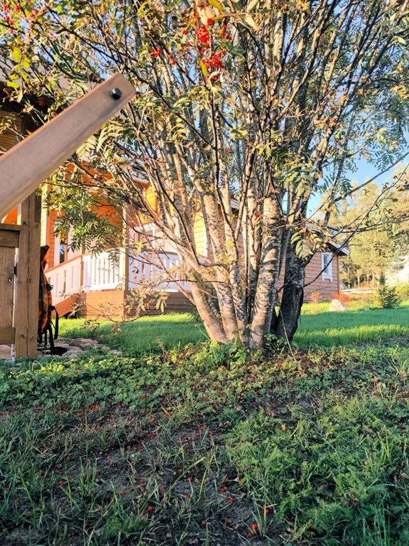 Коттедж Незабываемый отдых в доме с видом на реку и лес — Нурмойла