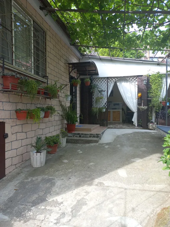 Дом на территории Дендропарка