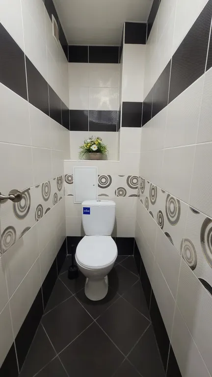 Застенчевая Ива у Пруда