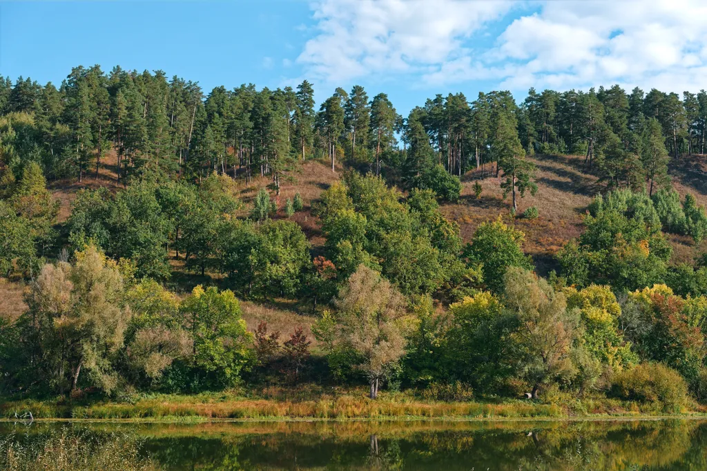 Премиум дом на острове у воды: прогулки, барбекю и полное уединение