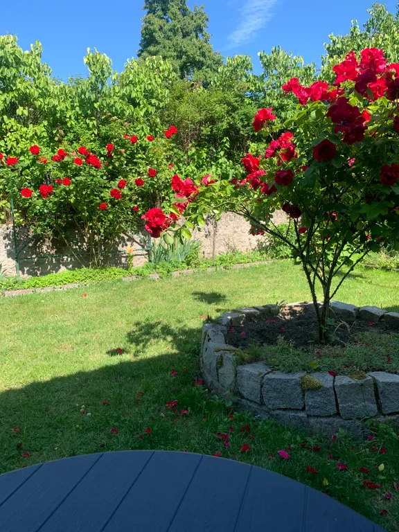 Апартаменты в гостях как дома