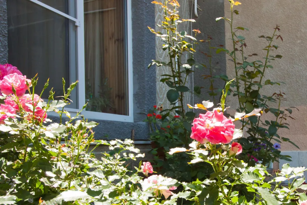 Квартира Комната — Евпатория