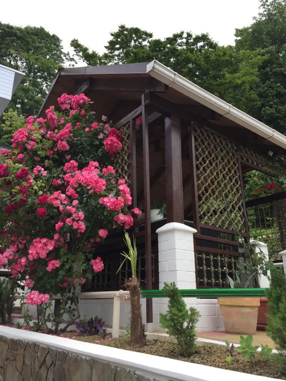 Апартаменты с видом на море