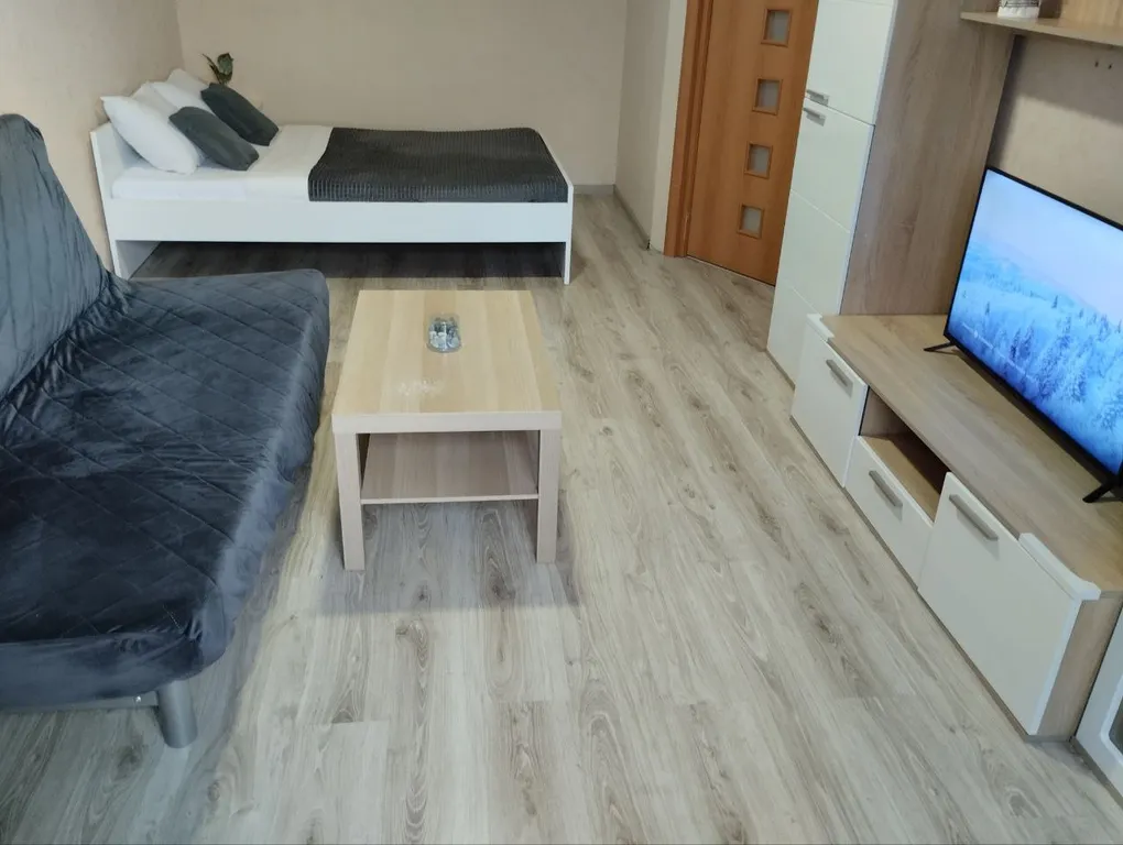 Уютная квартира с видом на стадион в ЖК Панораме