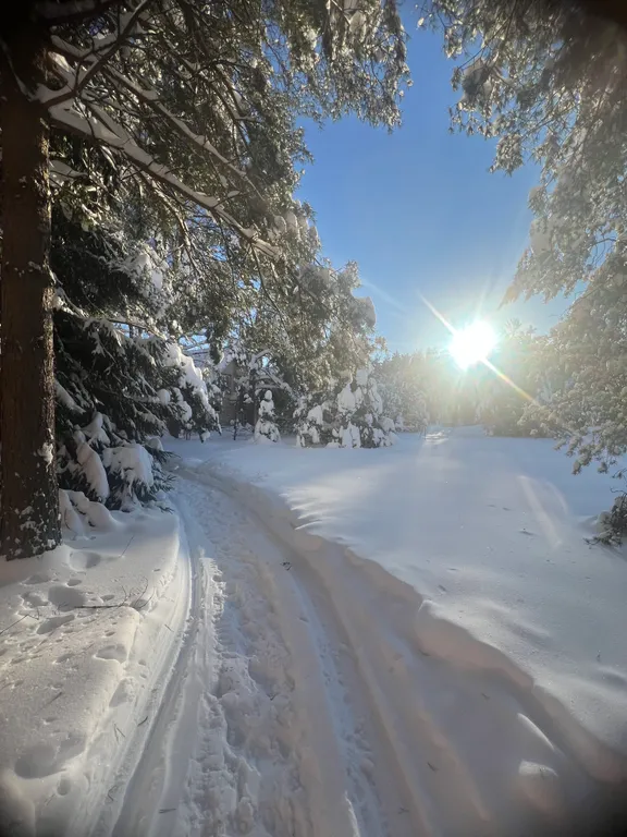 Дом берендей