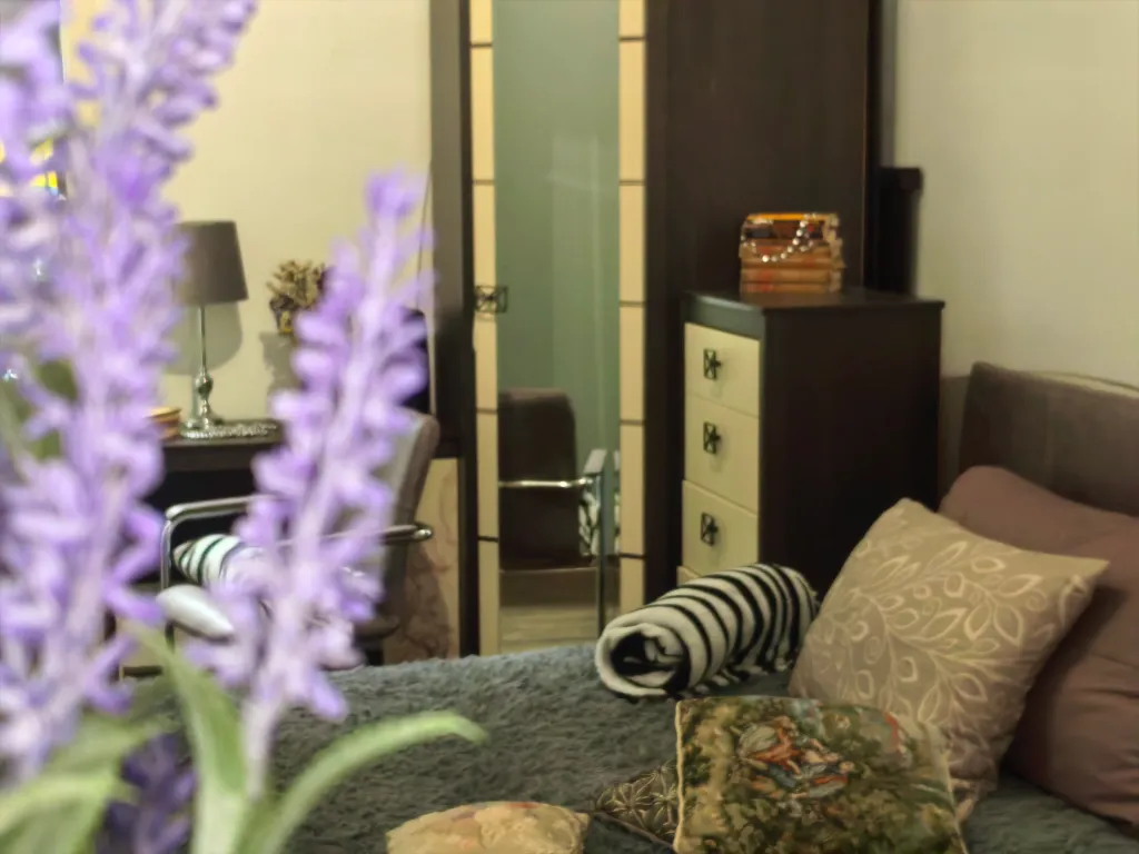 1-комнатная квартира Цезарь