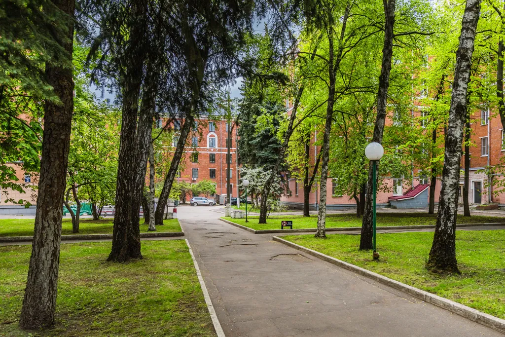 Студия рядом с парком