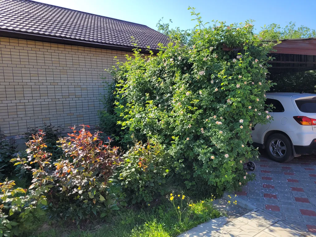 Коттедж Домик в центре города — Элиста